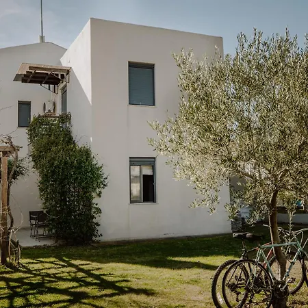 Pelagos Paradise Seafront By Kottas 度假居